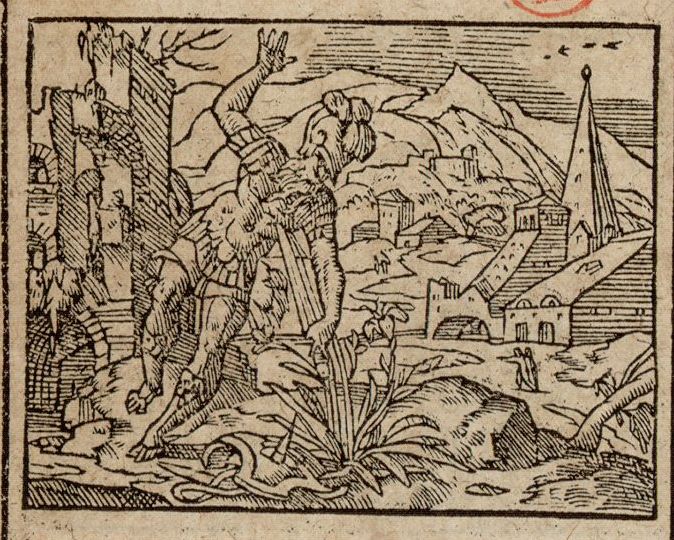 Numérisation d'un ornement