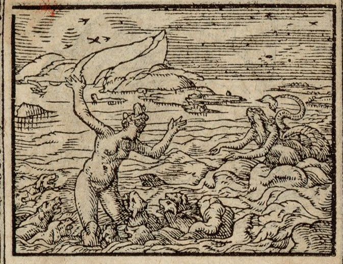 Numérisation d'un ornement