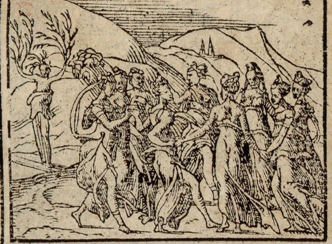 Numérisation d'un ornement