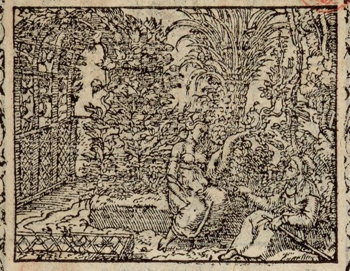 Numérisation d'un ornement