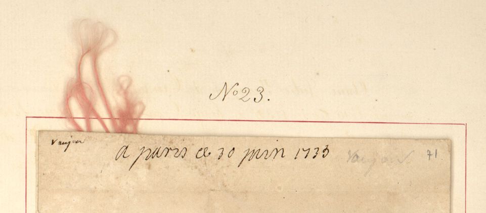 Zoom sur le coin supérieur gauche d'une lettre faisant apparaître une mèche de cheveu.